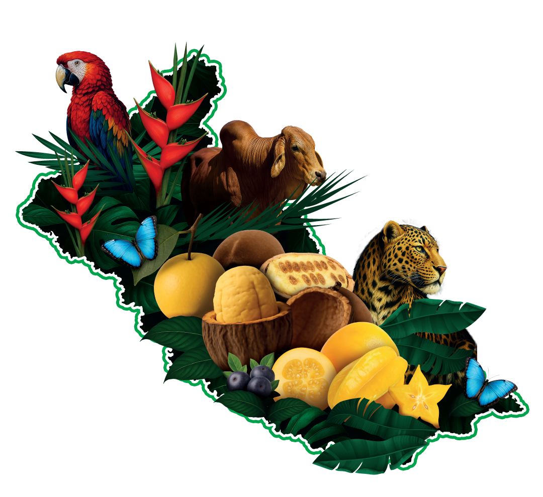 Mapa de Caquetá con frutas y animales